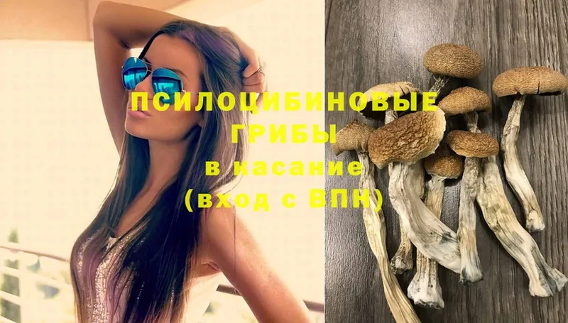 Галлюциногенные грибы ЛСД  Тверь 